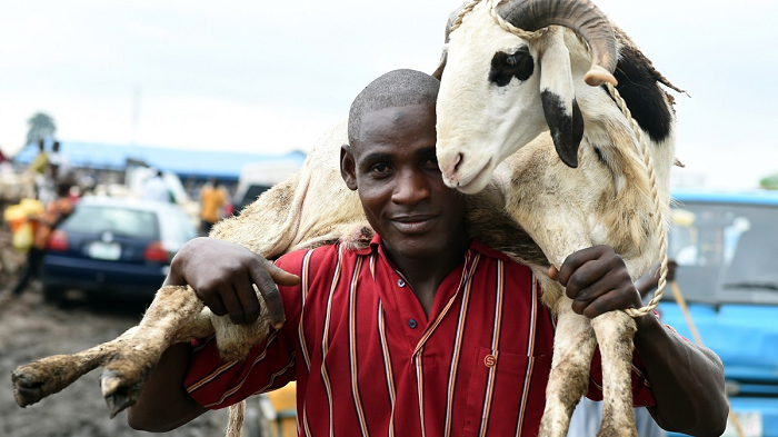 Eid’s sacrifices must translate into peaceful elections